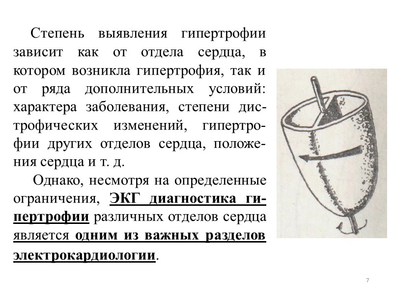 7 Степень выявления гипертрофии зависит как от отдела сердца, 7 Степень выявления гипертрофии зависит как от отдела сердца,